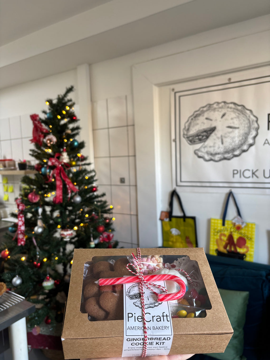 Gingerbread Cookie Decorating kit