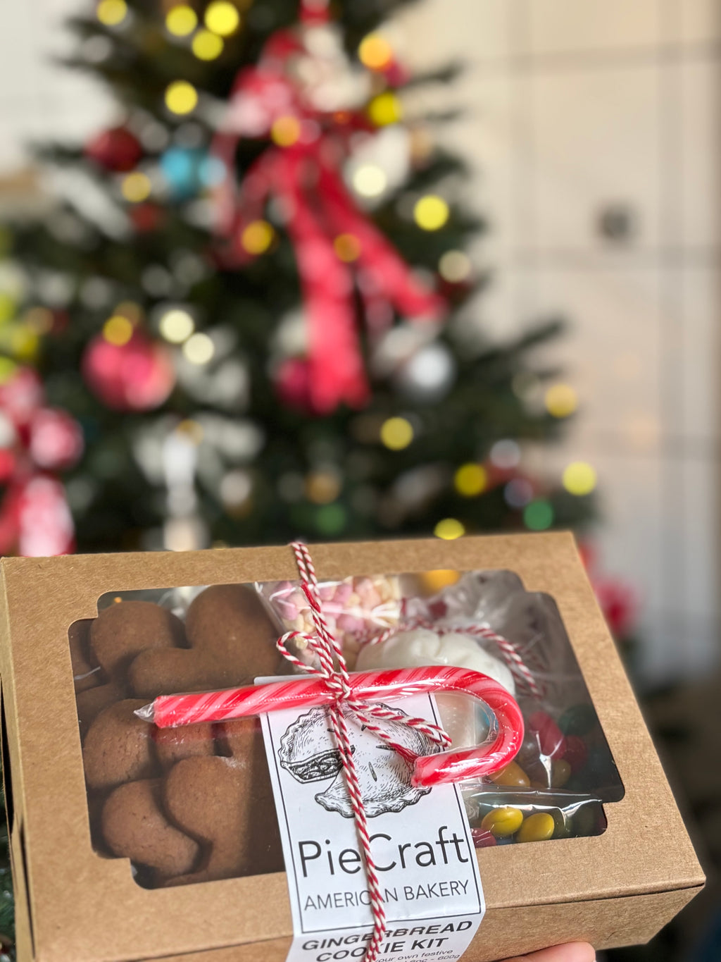 Gingerbread Cookie Decorating kit