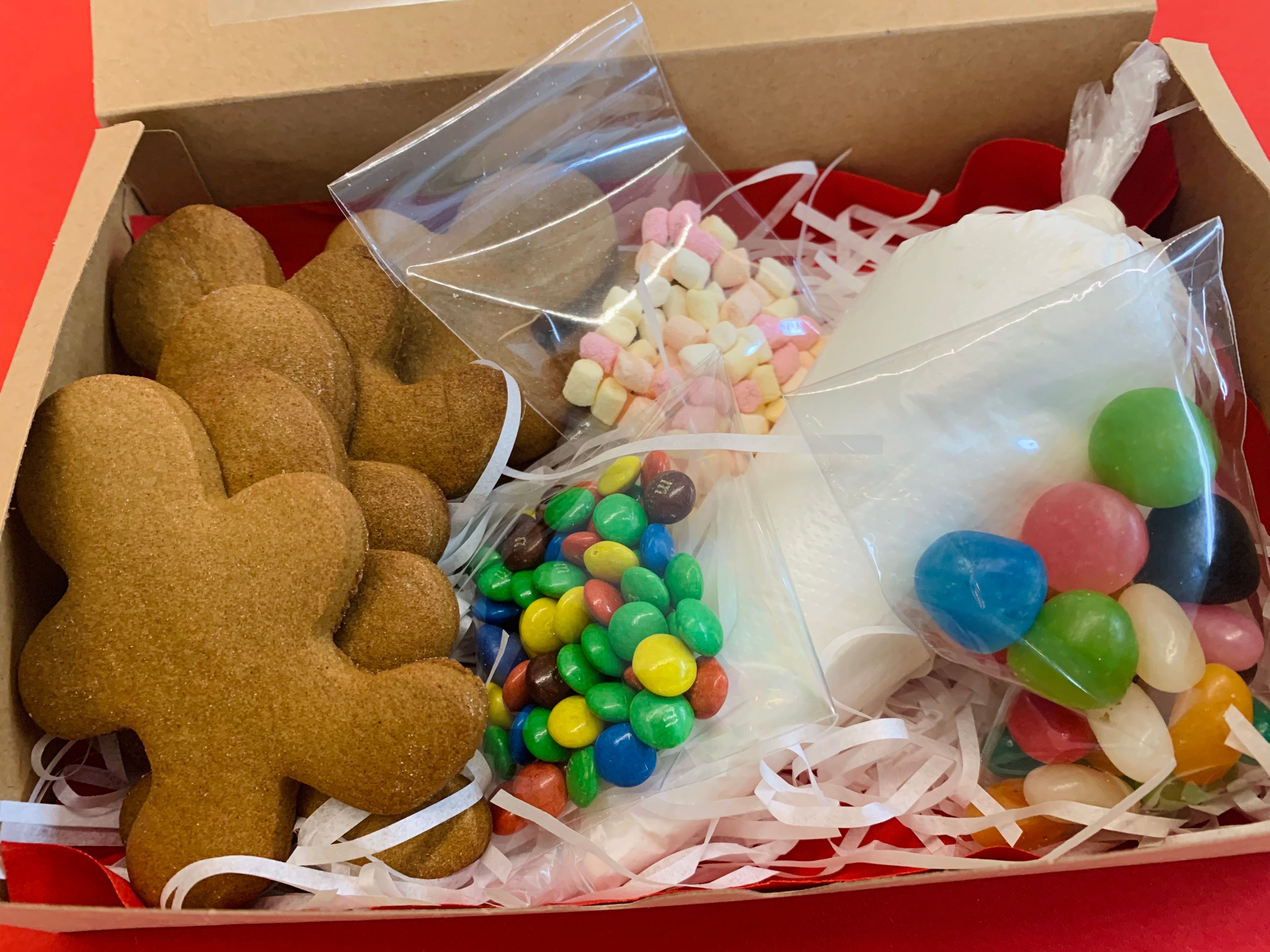 Gingerbread Cookie Decorating kit