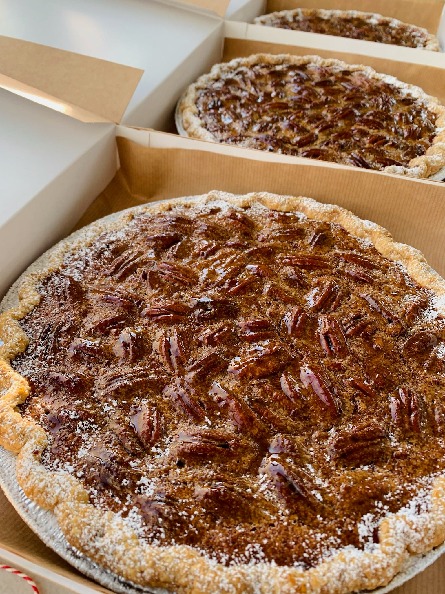 Southern Pecan